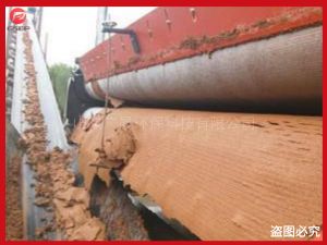尾礦泥漿脫水機設備